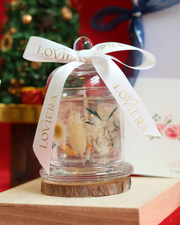 Twinkling Lights Gift Set