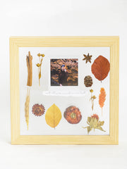 Maple Photo Frame