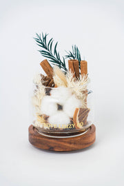 Potpourri Aroma Diffuser - White Christmas